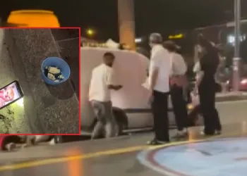 Vatandaşlardan ‘kedi sesli’ çözüm