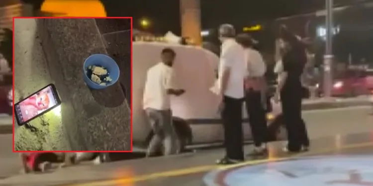 Vatandaşlardan ‘kedi sesli’ çözüm