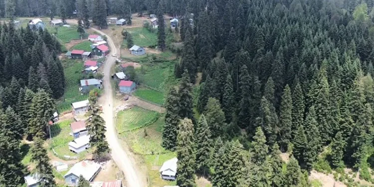 Serinlemek isteyen bu yaylaya koşuyor