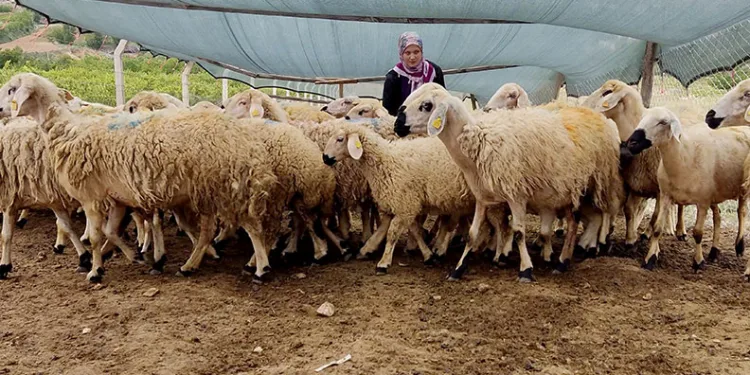 Uzman Eller Projesi ile genç yaşta kendi işini kurdu