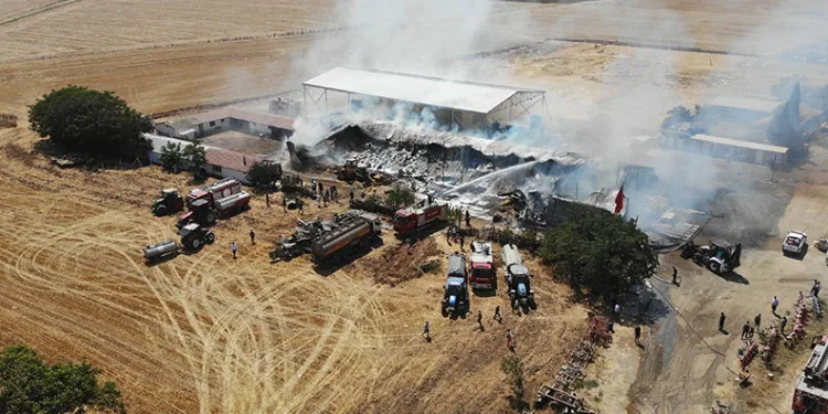 Tekirdağ’da çiftlik yangını: 15 bin balya saman yandı