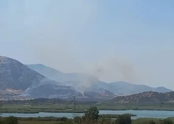 Selçuk’taki orman yangını kontrol altında