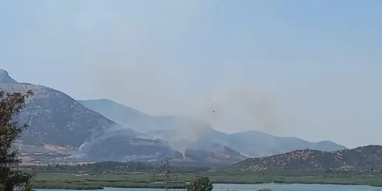 Selçuk’taki orman yangını kontrol altında