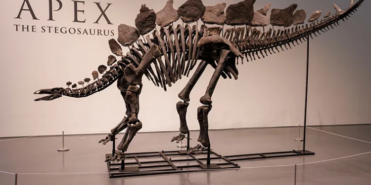Dinozor iskeleti rekor fiyata satıldı