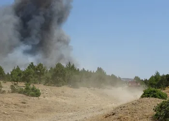 Tavşanlı’da orman yangını