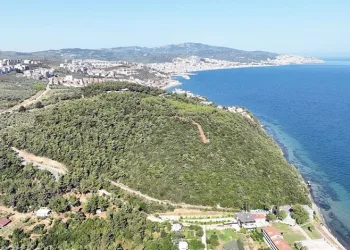 Deniz manzaralı ormana Mudanya Belediyesi talip oldu