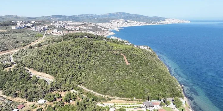 Deniz manzaralı ormana Mudanya Belediyesi talip oldu