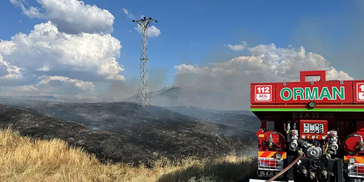 Kırsal alandaki yangın ormana sıçramadan söndürüldü