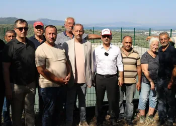 Ölümsüz ağaç suya kavuştu