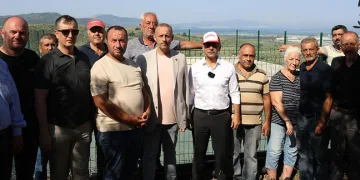 Ölümsüz ağaç suya kavuştu
