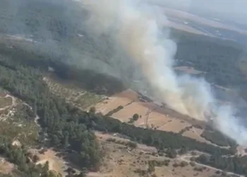 İzmir Buca’da orman yangını