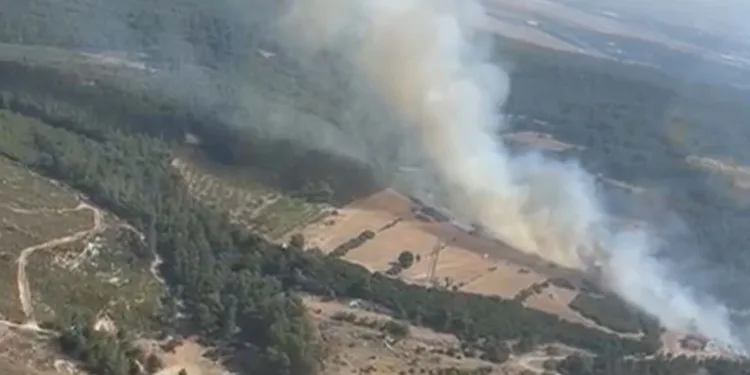 İzmir Buca’da orman yangını