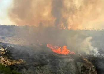 Tekirdağ’da otluk alanda yangın