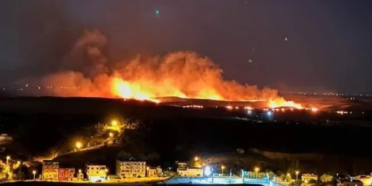Diyarbakır’da anız yangını geniş alana yayıldı
