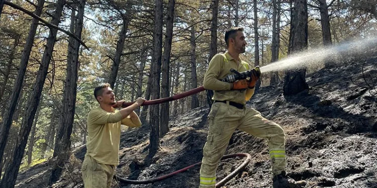 Karabük’te orman yangınında 7 hektar alan zarar gördü
