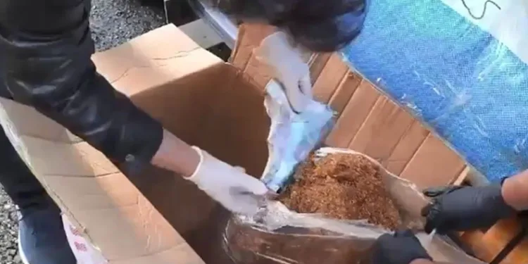 Kars’ta tütünlerin içerisinden cephanelik çıktı
