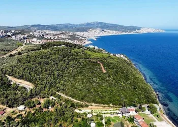 Deniz manzaralı orman ihalesine en yüksek fiyat özel sektörden
