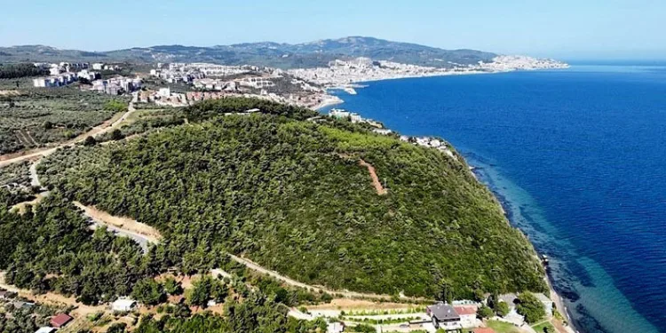 Deniz manzaralı orman ihalesine en yüksek fiyat özel sektörden