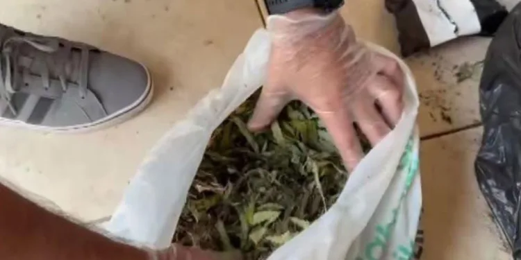 Turistlere esrar satarken yakalandı