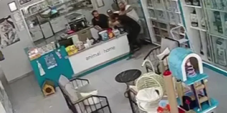 Veteriner hekimi darp eden müşteri ile 2 yeğeni tutuklandı