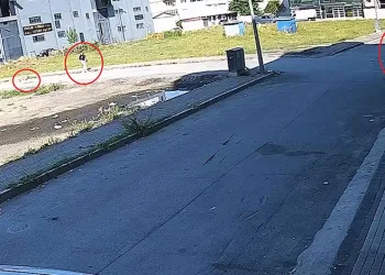 Bursa’da sokak köpeğinin kadına saldırmasını engelledi