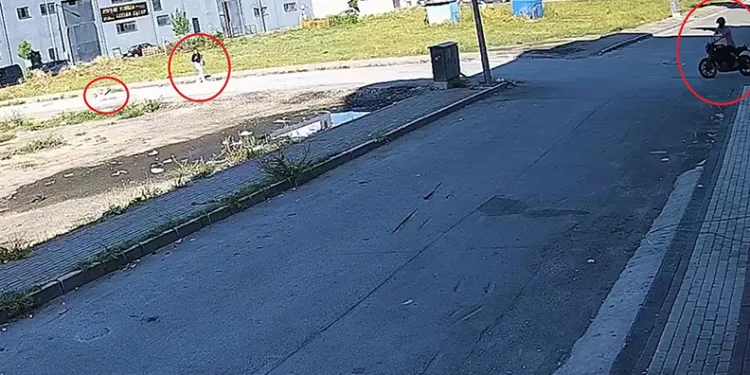 Bursa’da sokak köpeğinin kadına saldırmasını engelledi