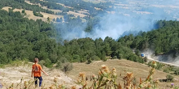 Bilecik’te orman yangını