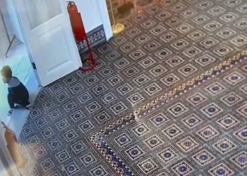 Çocuğa uyan vatandaşlar müzeye ayakkabılarını çıkararak girdi