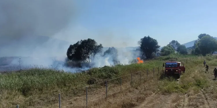 Bursa’da İznik Gölü kıyısındaki sazlık alanda yangın