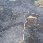 BURSA'NIN BÜYÜKORHAN İLÇESİNDE ORMANLIK ALANDA ÇIKAN YANGINDA ZARAR GÖREN ALANLARIN YENİDEN ORMANLAŞTIRILMASI İÇİN ÇALIŞMALARA BAŞLADI. ORMANA 380 BİN KIZILÇAM FİDAN DİKİMİ VE 880 KİLOGRAM KIZILÇAM TOHUMU TAKVİYESİ YAPILACAK. (İHA/BURSA-İHA) Bursa'nın Büyükorhan ilçesinde ormanlık alanda çıkan yangında zarar gören alanların yeniden ormanlaştırılması için çalışmalara başladı. Ormana 380 bin kızılçam fidan dikimi ve 880 kilogram kızılçam tohumu takviyesi yapılacak.