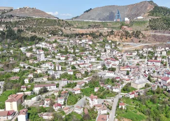 Popülasyonu artan ayılar yerleşim yerlerini mesken tuttu