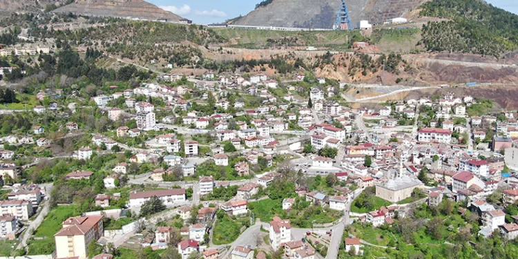 Popülasyonu artan ayılar yerleşim yerlerini mesken tuttu