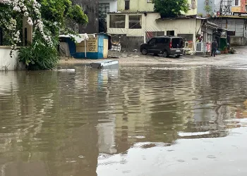 Şiddetli yağmur ve rüzgar ağaçları kökünden söktü, vinci devirdi