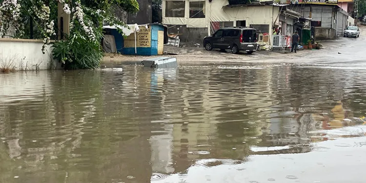 Şiddetli yağmur ve rüzgar ağaçları kökünden söktü, vinci devirdi