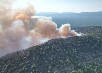 Bursa’da orman yangını