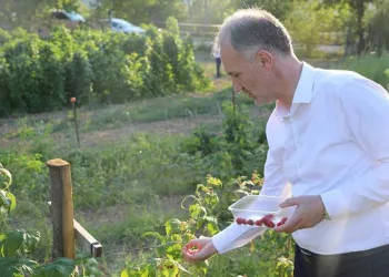 İnegöl Belediyesi’den ücretsiz toprak analizi