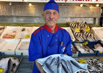 Balıkçılar yeni sezondan umutlu