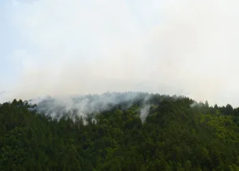 Kastamonu’da yıldırım yangın çıkardı