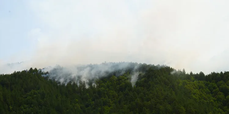 Kastamonu’da yıldırım yangın çıkardı