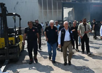 “Yangınları önlemek için yeni bir plana ihtiyacımız var”