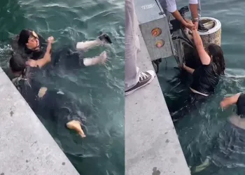 Denize düşen kadını vatandaşlar kurtardı