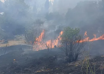 Malatya’da bahçelik alanda korkutan yangın
