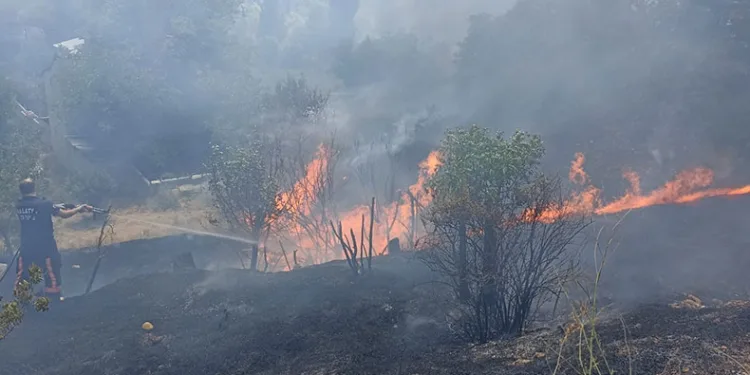 Malatya’da bahçelik alanda korkutan yangın