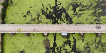 Su akışı durdu, Tunca Nehri yeşile döndü