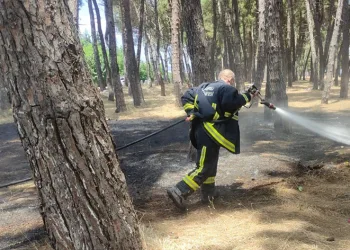 Çamlıkta tehlikeden dönüldü