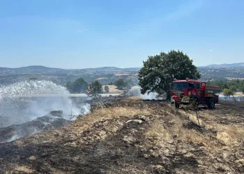 Bursa Orhaneli’de anız yangını söndürüldü