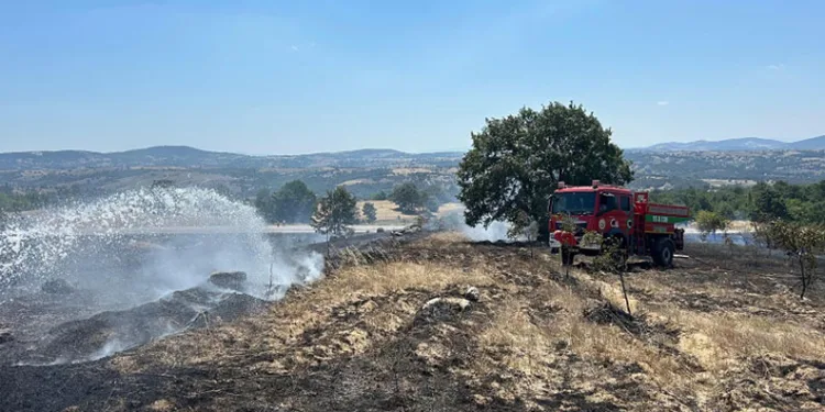 Bursa Orhaneli’de anız yangını söndürüldü