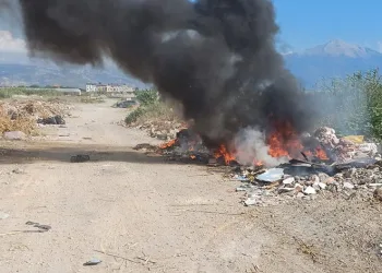 Samandağ’da Moloz Yangını yayılmadan söndürüldü