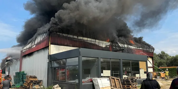 Bursa’da soğuk hava deposunda yangın