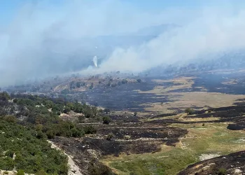 Soma’daki orman yangınında bir mahalle tahliye edildi